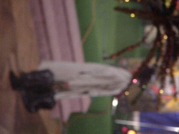 DSC01424.jpg